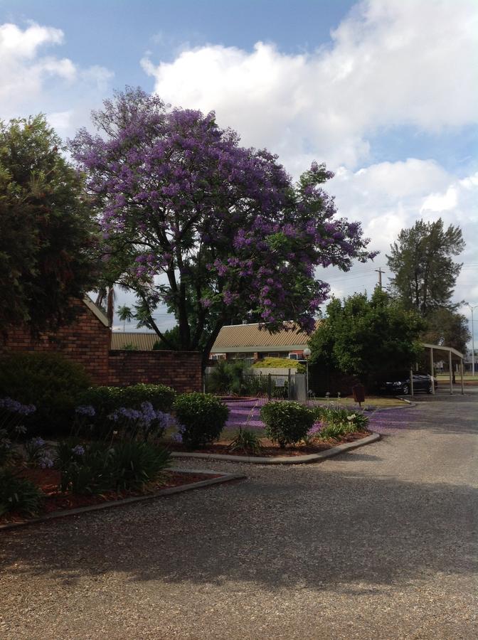 Belvoir Village Motel & Apartments Wodonga Exterior photo