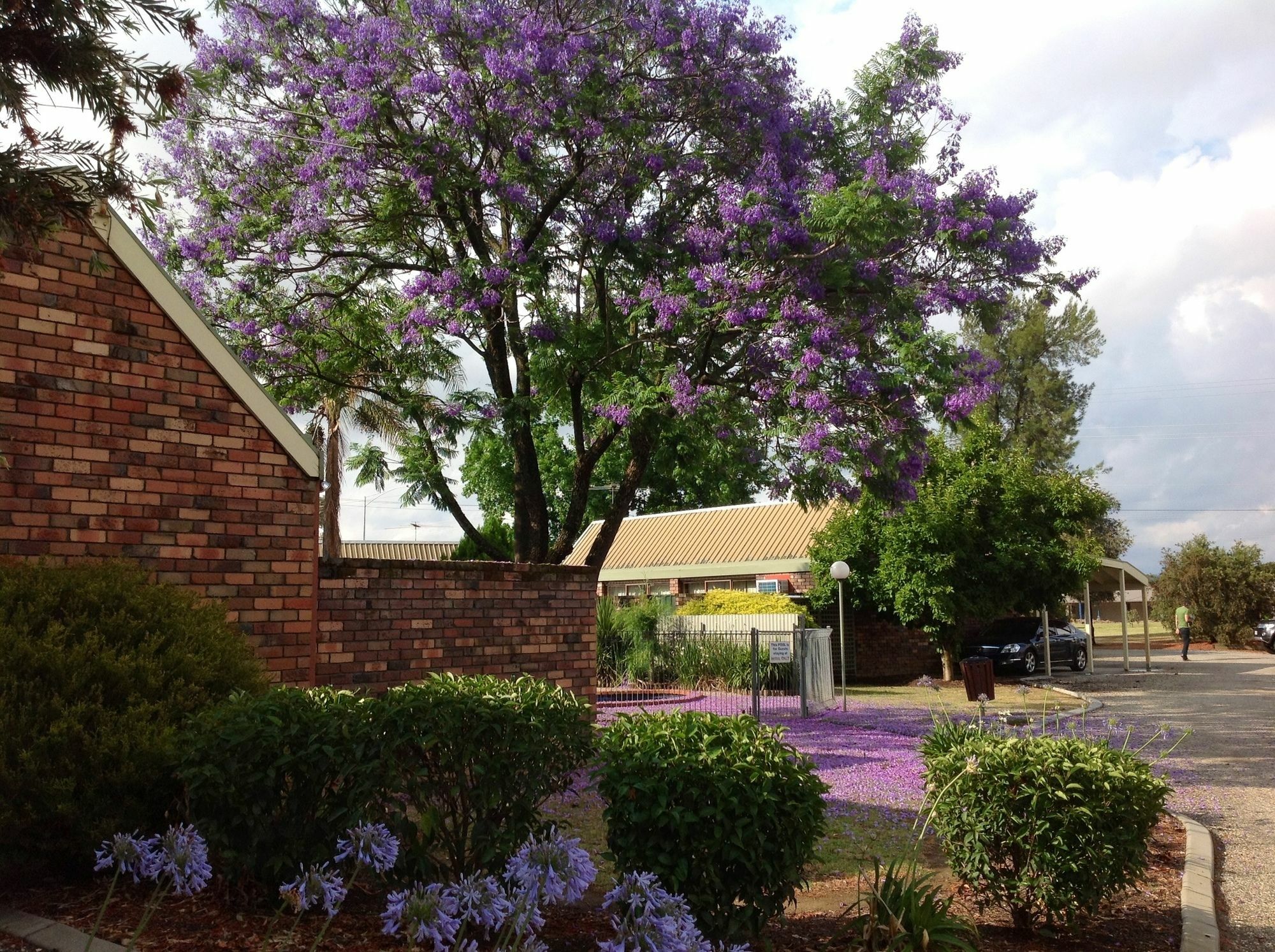 Belvoir Village Motel & Apartments Wodonga Exterior photo